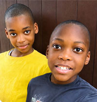 Noah, Shadale