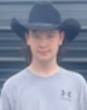 William - 16, M
